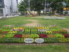 R7年度コンクール花壇10審査員長賞