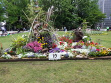 R8年度コンクール花壇2市長賞