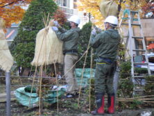 冬囲い作業をする二人の作業員の画像