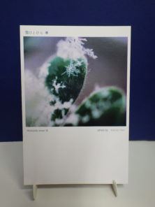 直井和子ポストカードゆきの花コレクション18の画像