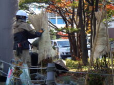 冬囲い作業でむしろをまいている画像