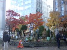 西1丁目の樹木の冬囲い作業を行っている職員の画像