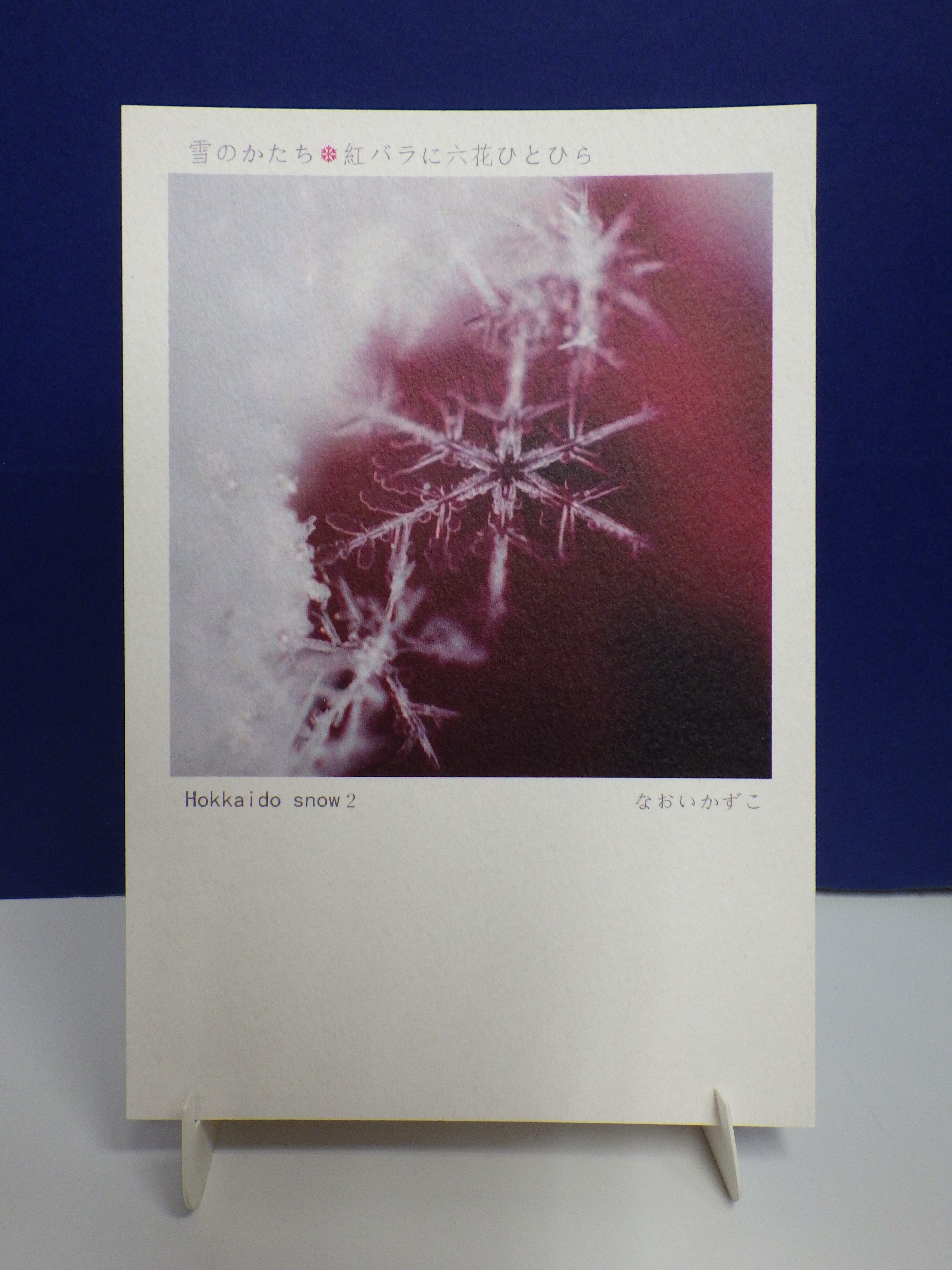 直井和子ポストカードゆきの花コレクション2の画像