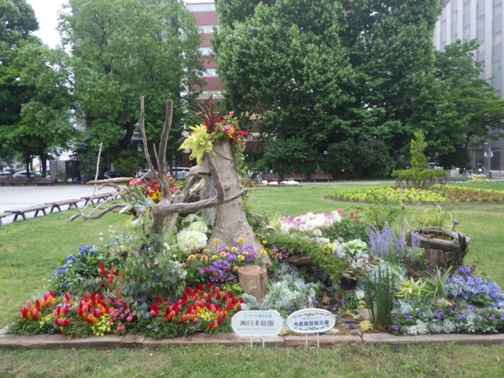 R7大通公園コンクール花壇_市長賞1