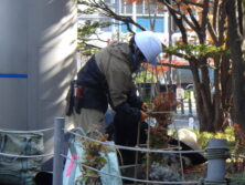 冬囲い作業で縄で竹を縛っている画像