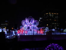 西3丁目ウインターブロッサムズのイルミネーションの画像