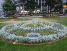 西3東側花壇北海道新聞社様