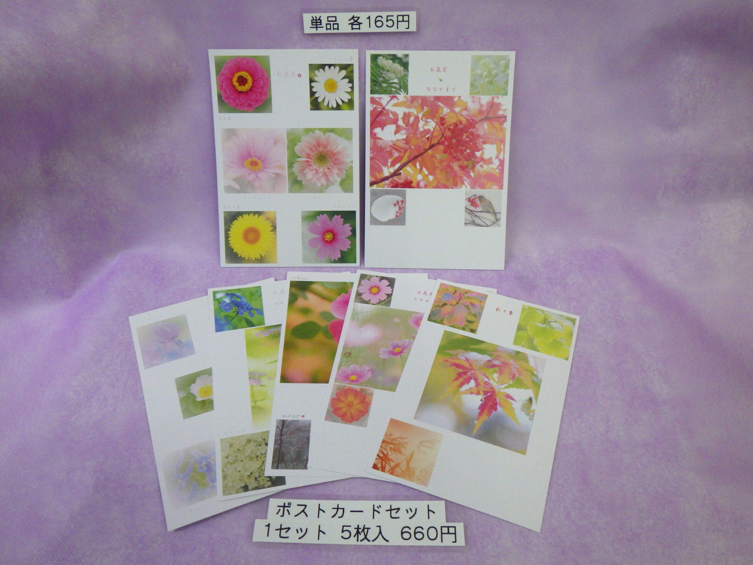 なおいかずこポストカードの画像