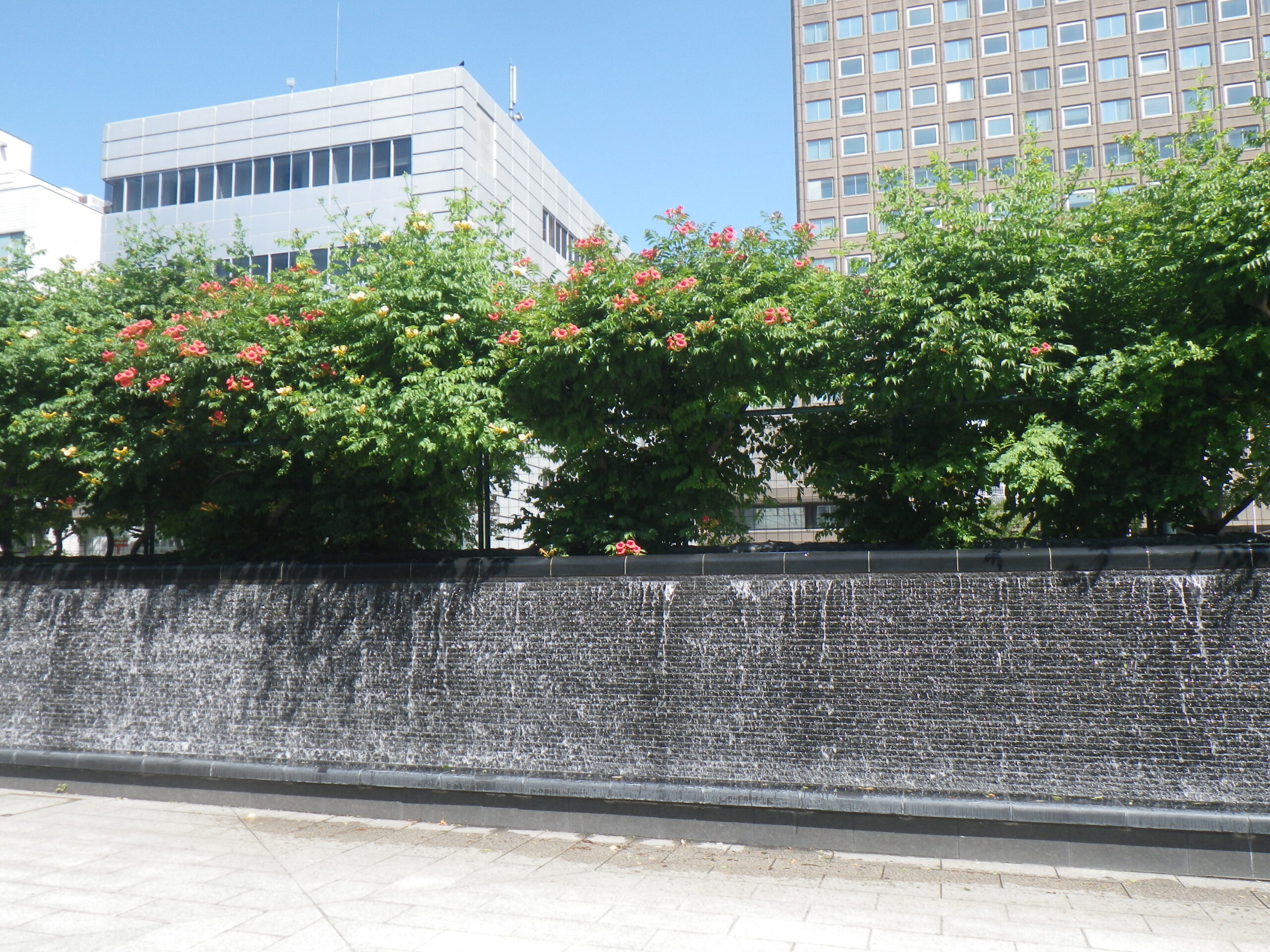 オレンジ色のノウゼンカズラが上部に咲く西2丁目壁泉の画像