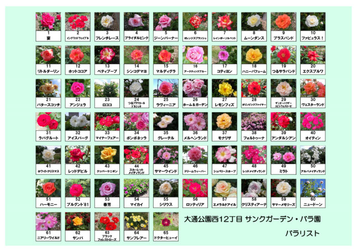 大通公園西12丁目バラ園のバラリストの画像