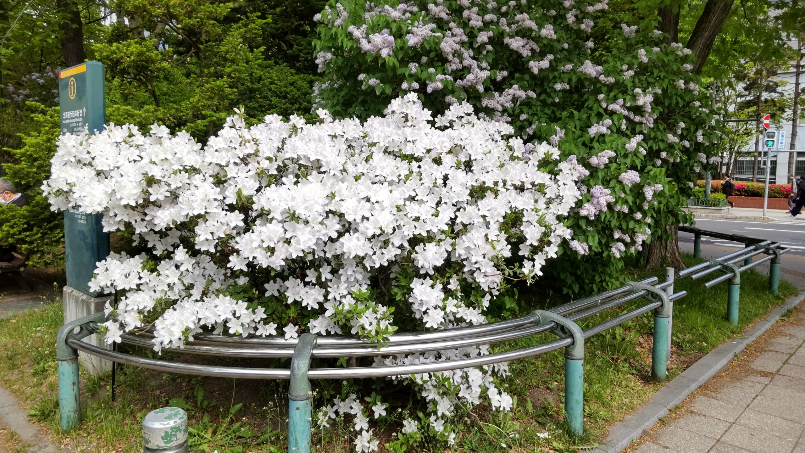 0522西6丁目