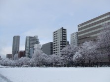 7丁目の雪景色