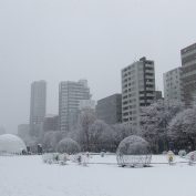 2016/12/02　雪景色２