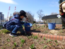0406花壇ボランティア