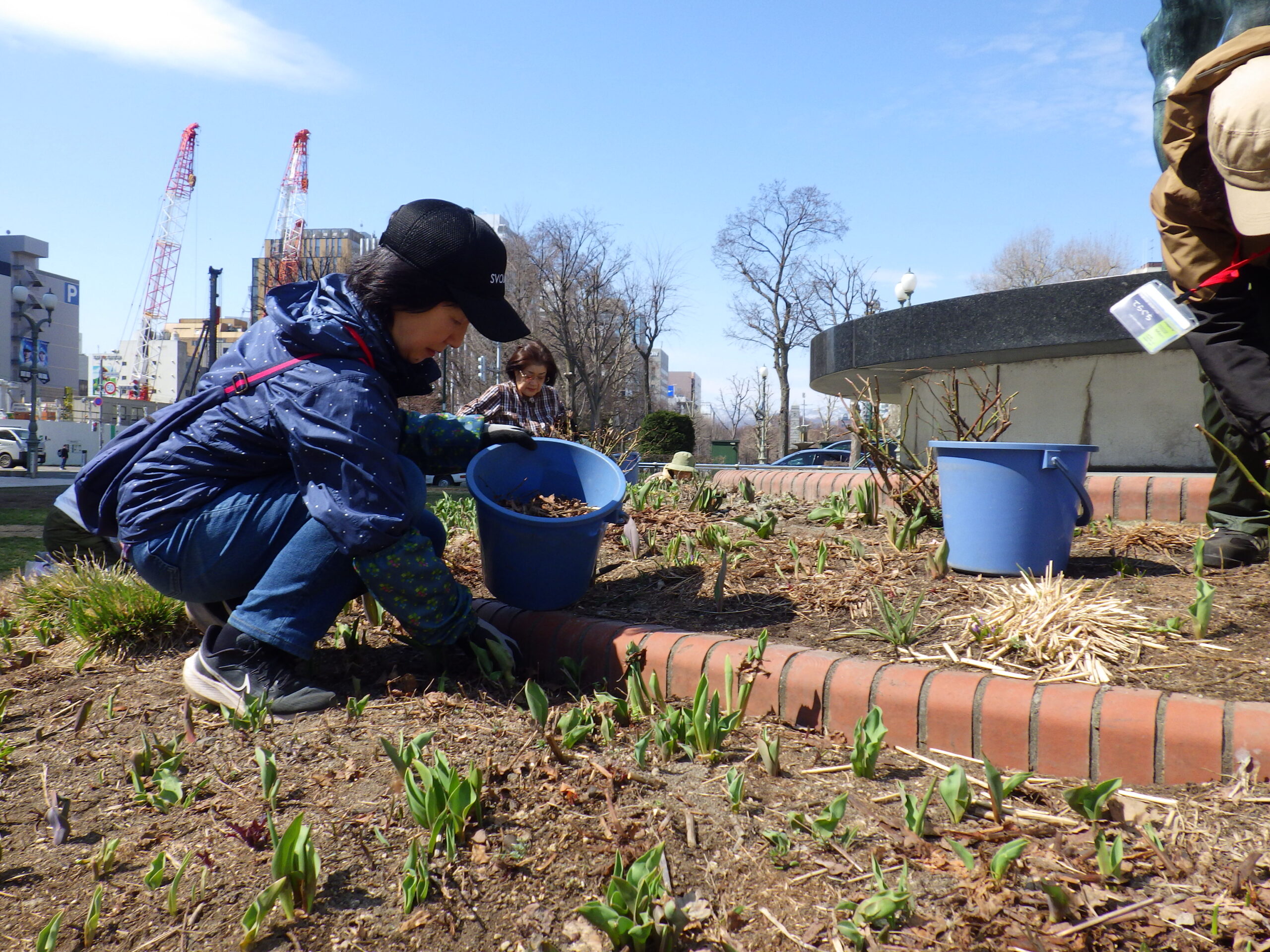 0406花壇ボランティア