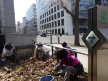 0406花壇ボランティア