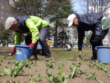 0406花壇ボランティア