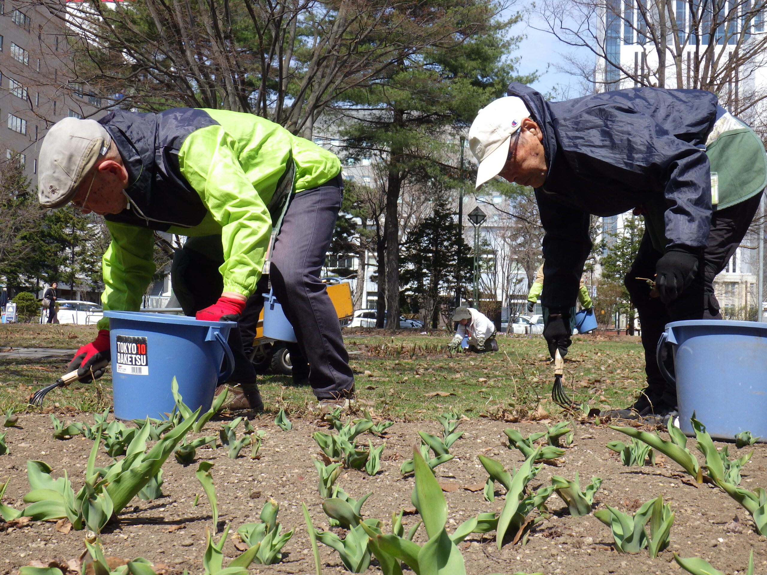 0406花壇ボランティア