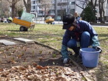 0406花壇ボランティア