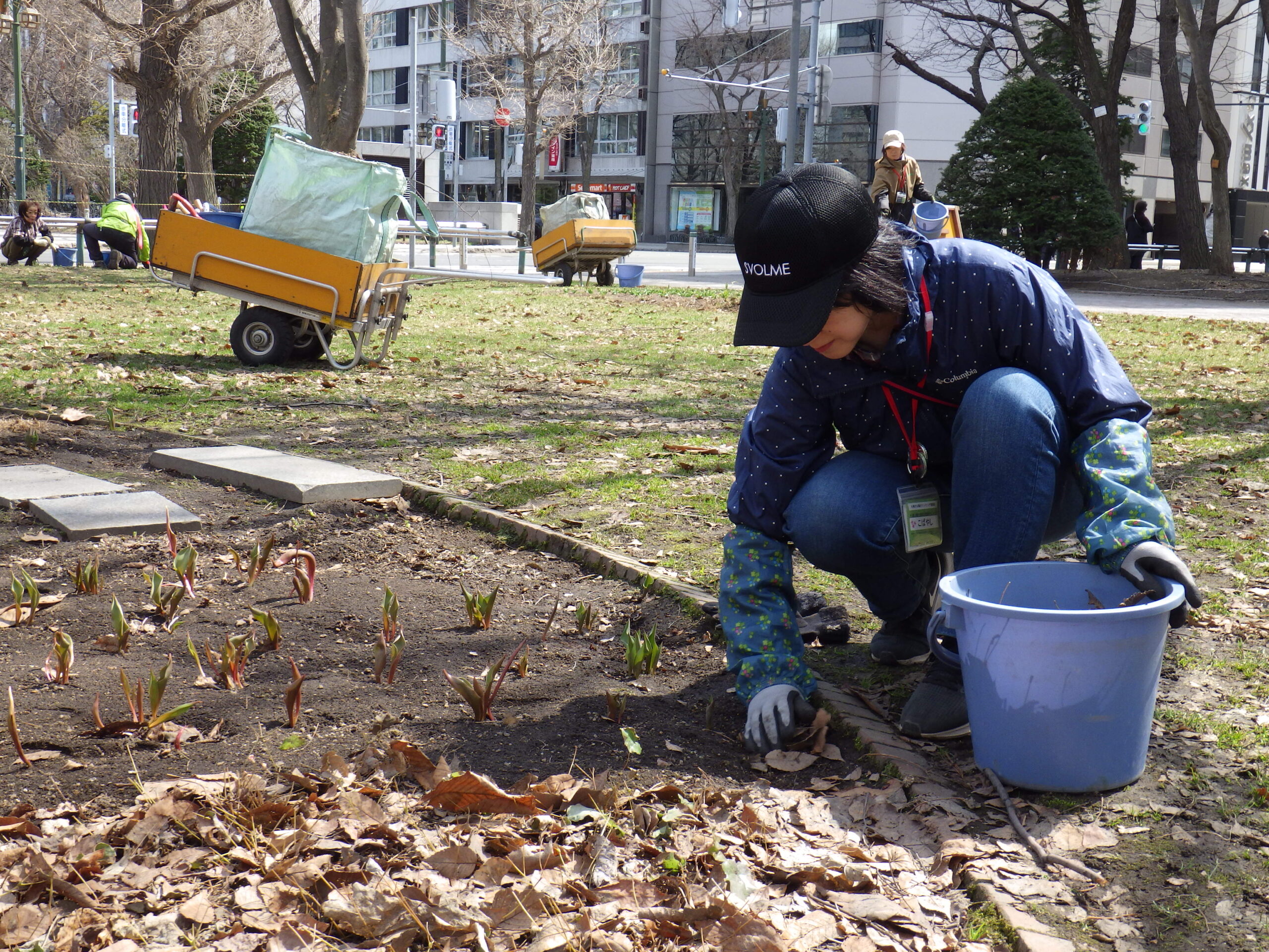 0406花壇ボランティア