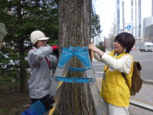 0414樹名板取り付け