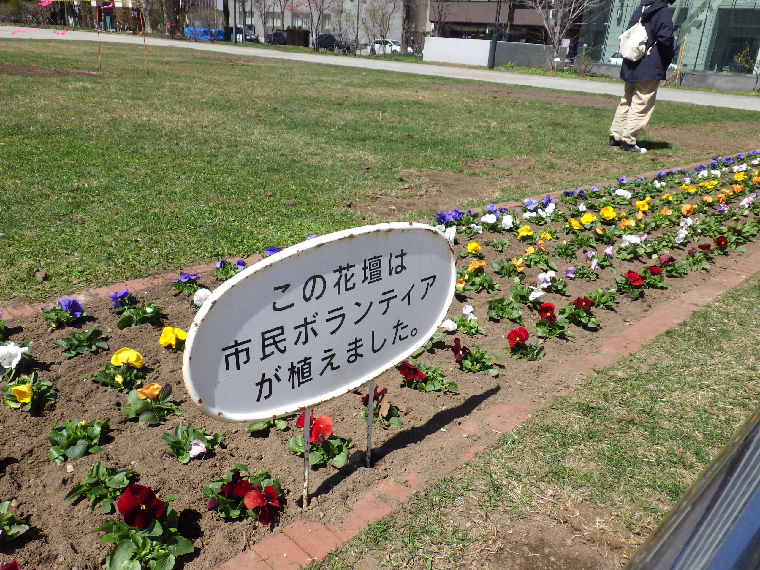 0416春の花植え