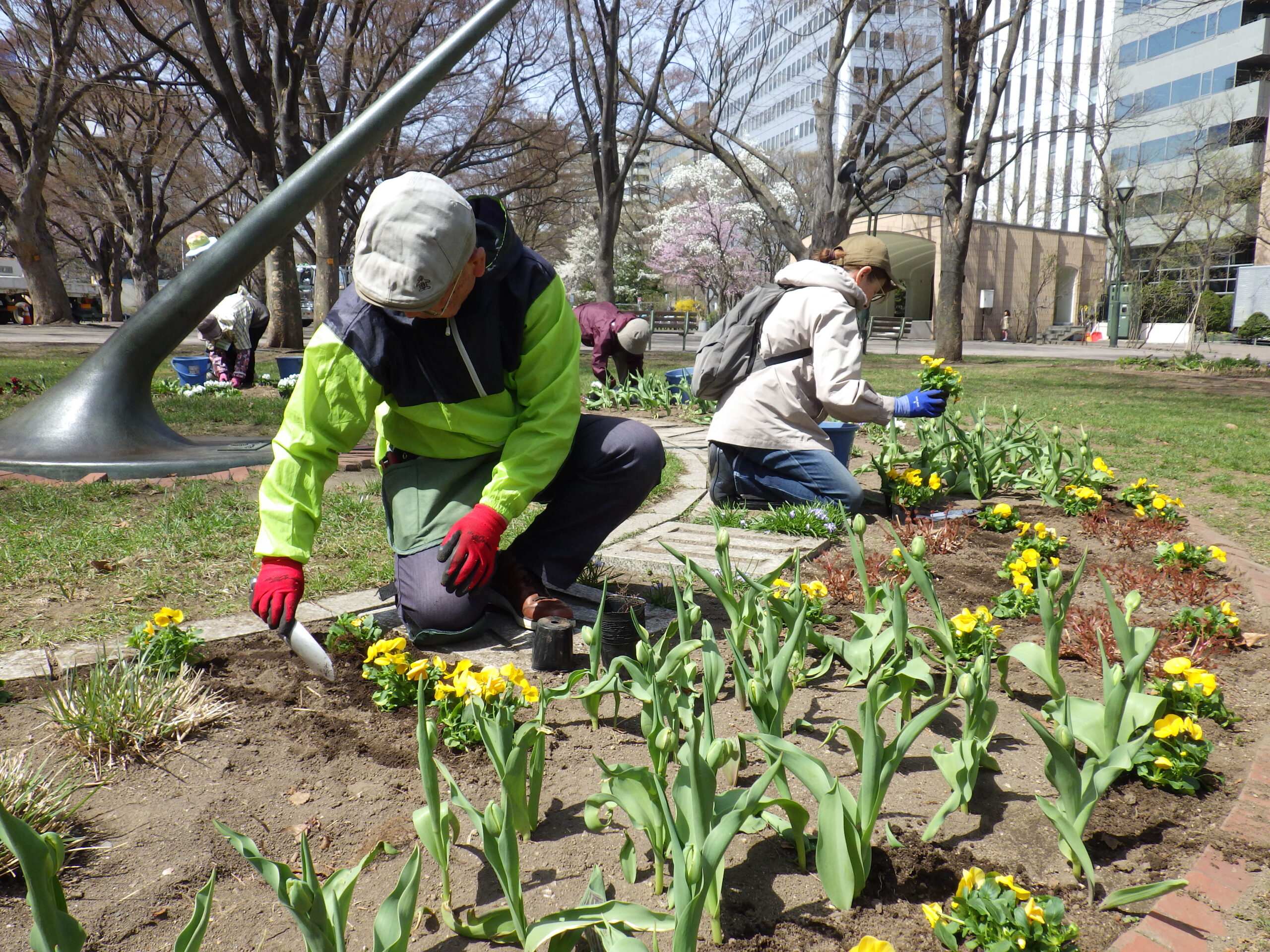 0420花壇ボランティア
