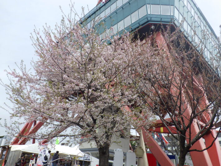 0422ガイドボランティア研修