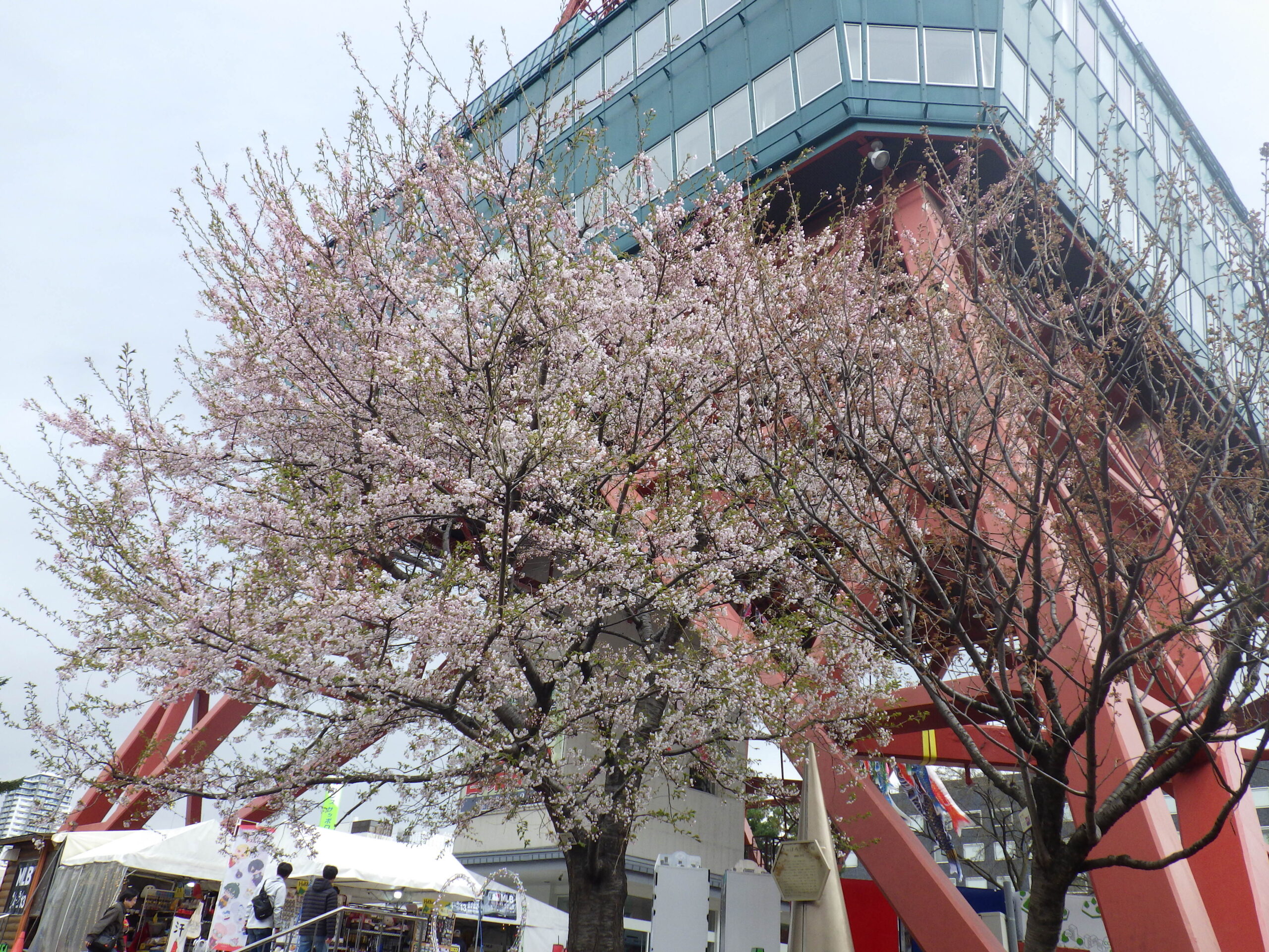 0422ガイドボランティア研修