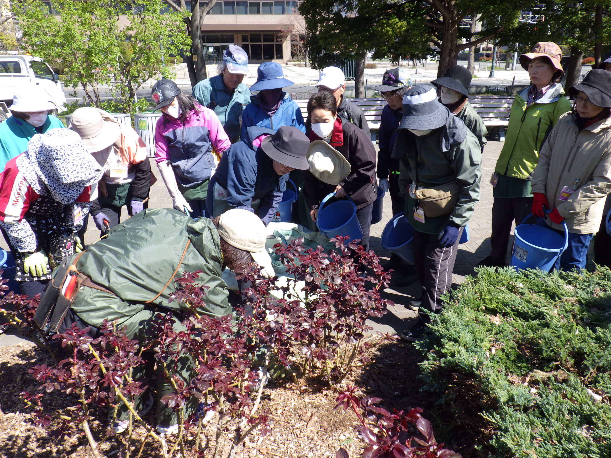0429バラボランティア