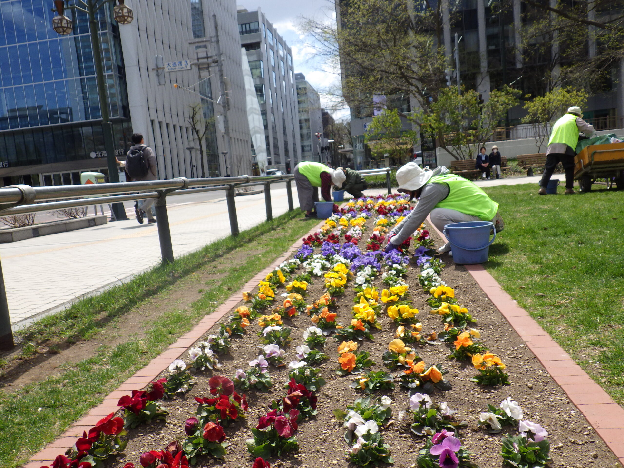 0430シーズネット