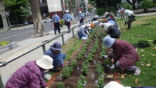 市民花植えボランティア