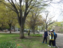 0501サクラツアー