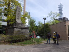 0501サクラツアー