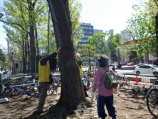 0510樹名板取り付け