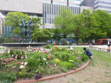 0511花壇ボランティア