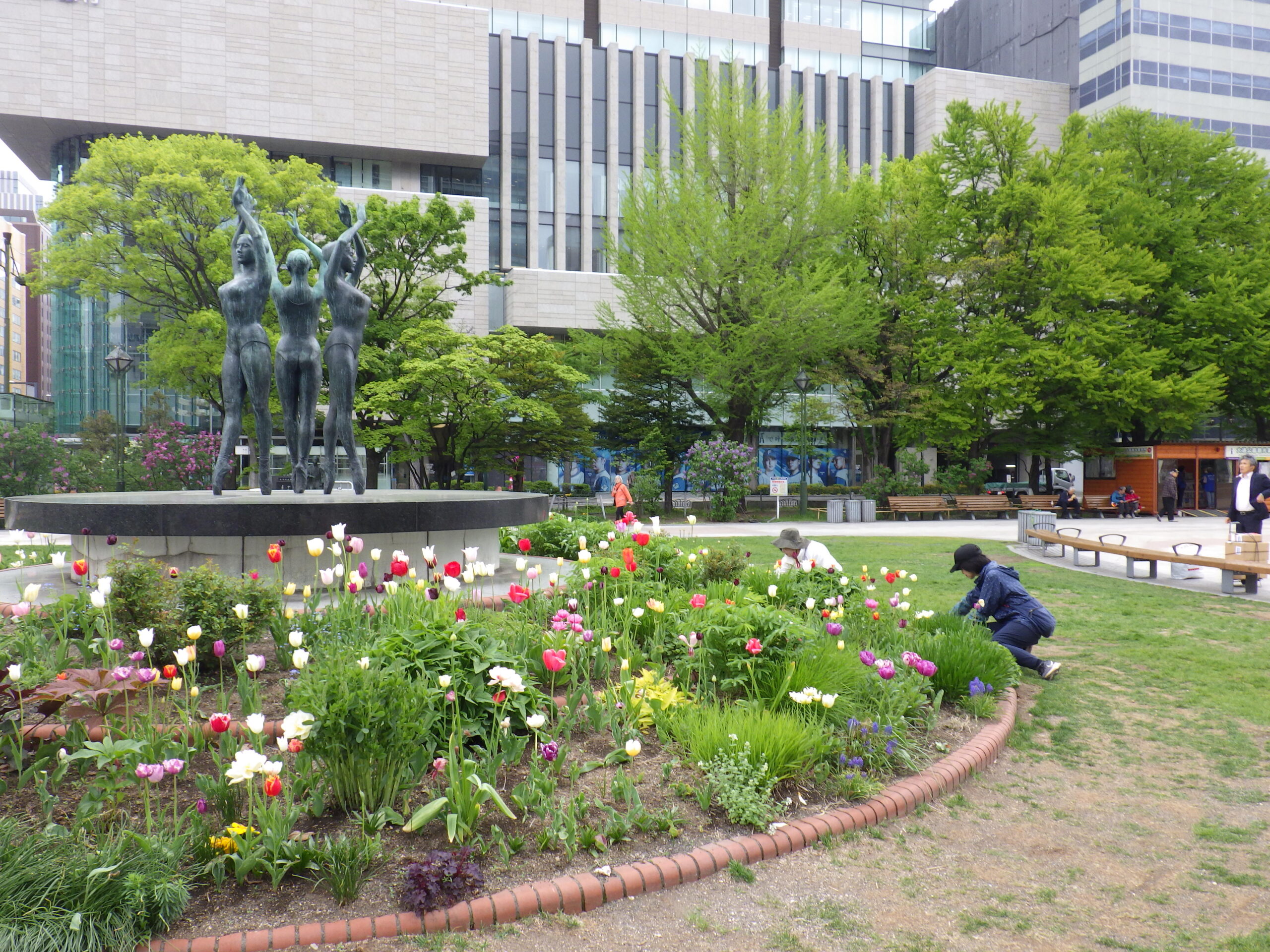 0511花壇ボランティア