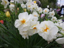 西3丁目泉の像花壇