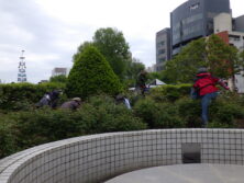 0520除草の様子