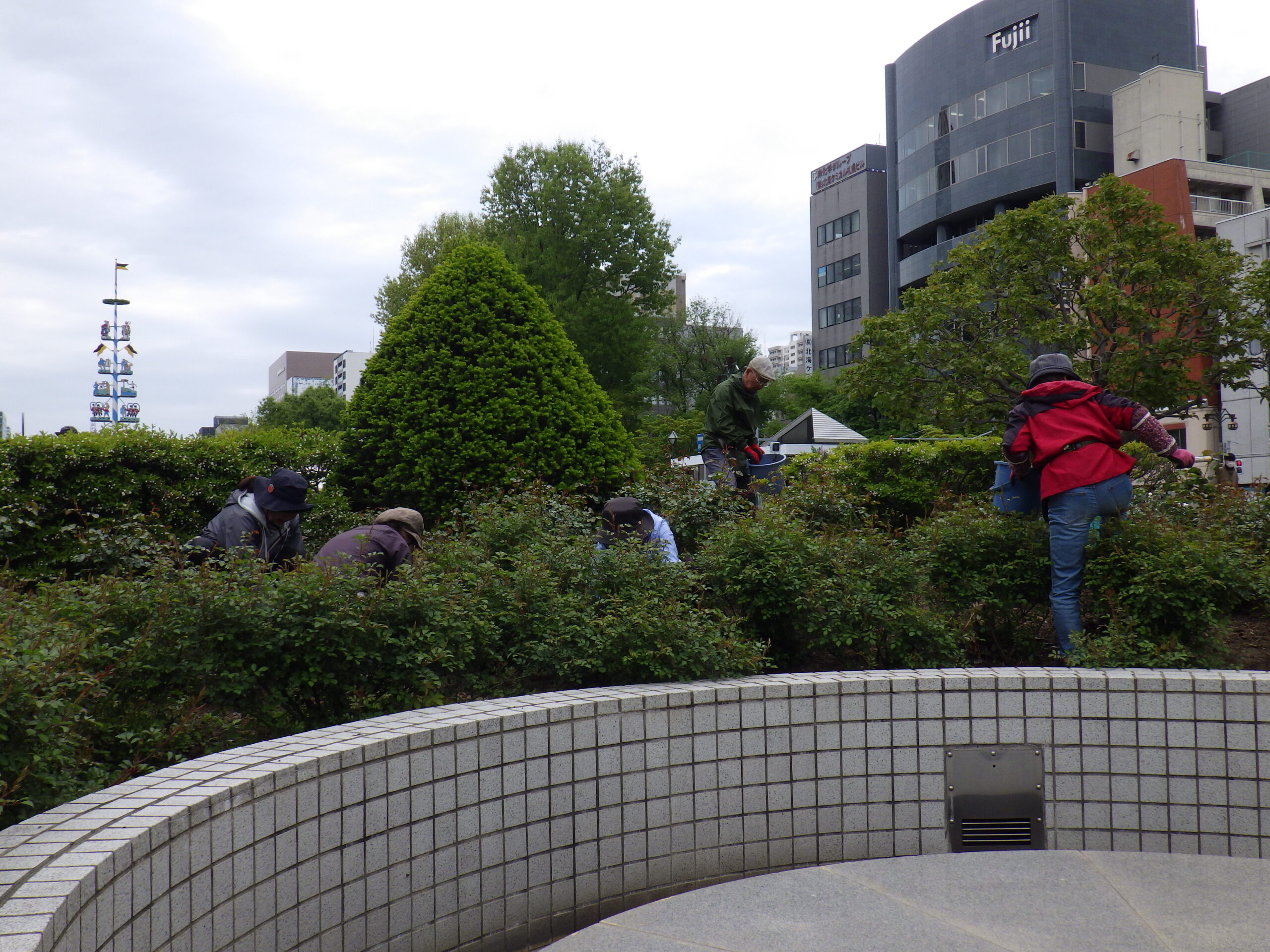 0520除草の様子