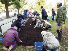 市民花植えボランティア