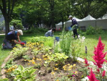 0625花壇ボランティア