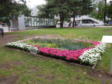 0630コンクール花壇とバラ園ツアー