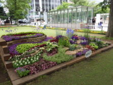 0630コンクール花壇とバラ園ツアー
