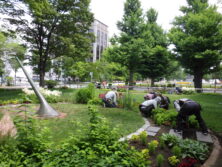 0706花壇ボランティア