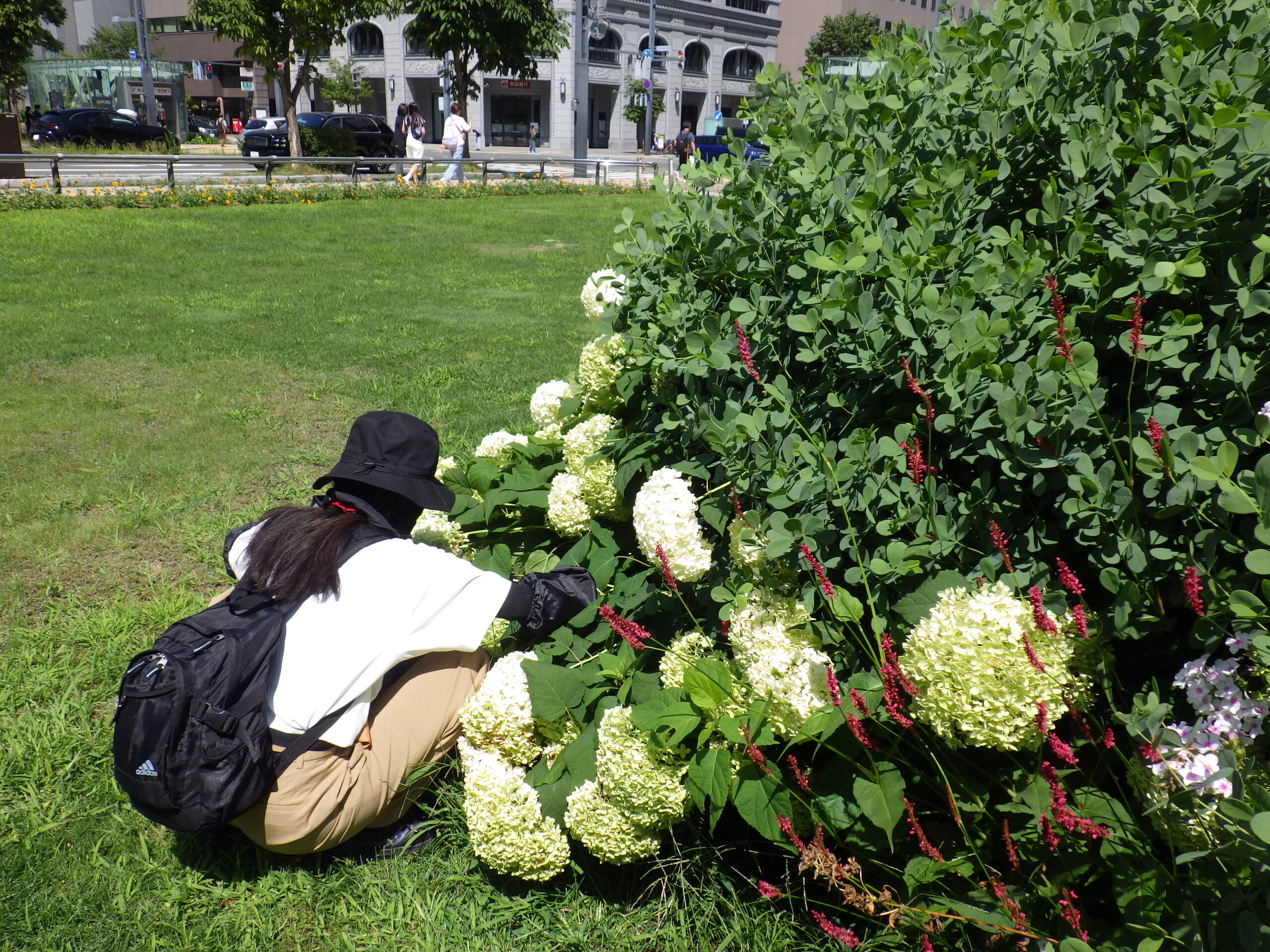 0727花壇ボランティア