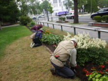 0722花壇ボランティア