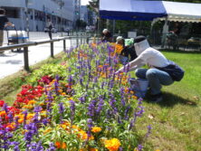 0810花壇ボランティア