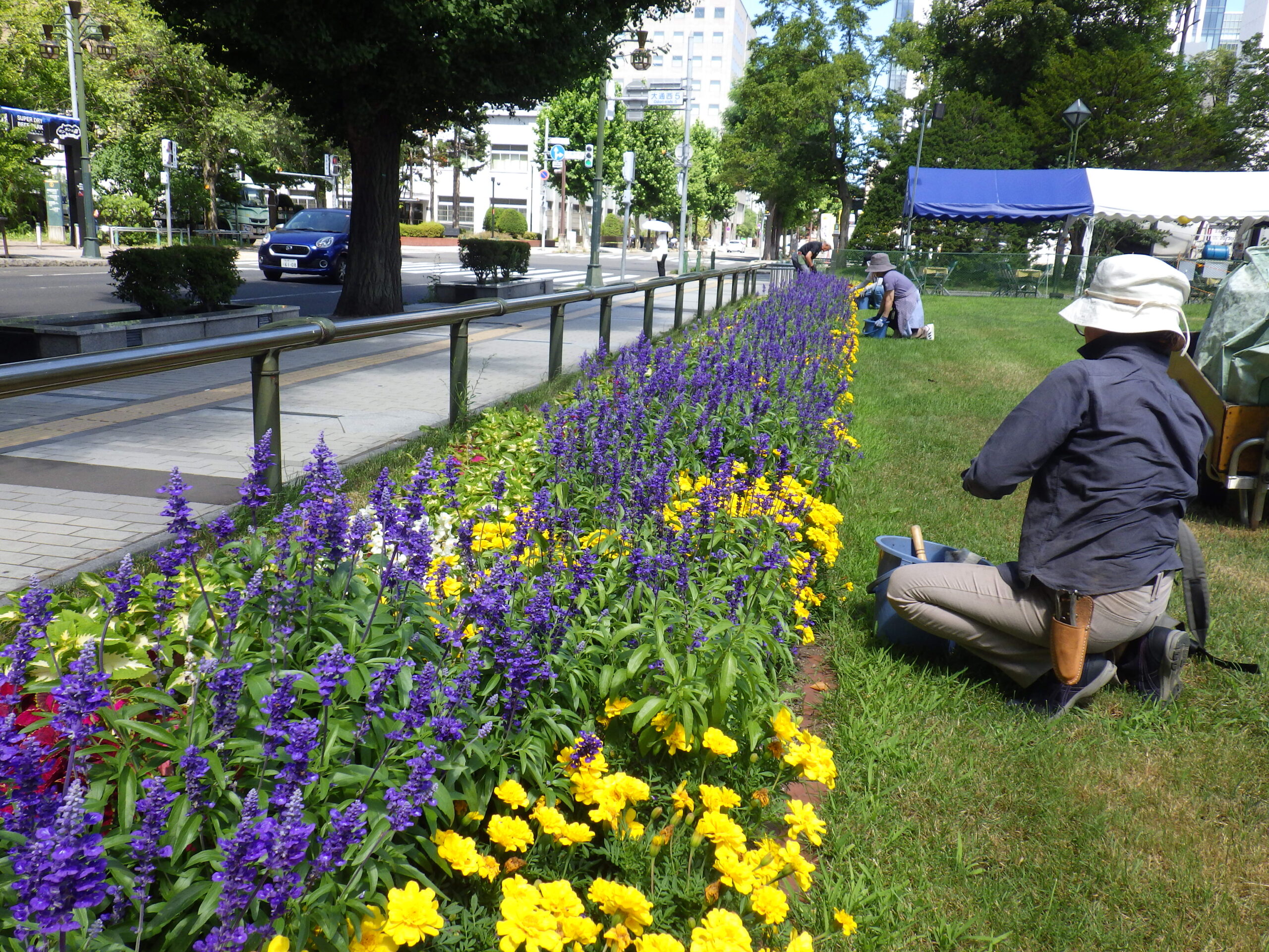 0810花壇ボランティア