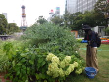 0914花壇ボランティア